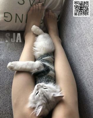 国产片顾顾顾儿媳_1080P高清视频播放